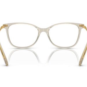 Eyeglasses Swarovski SK 2010 (3003)